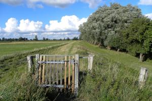 Gallery image of Ferienhof-Eiderdeich Wohnung Hertha in Delve