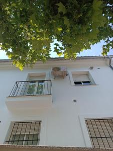 埃爾博斯克的住宿－Casa Curro，白色的建筑,有两个窗户,上面有盒子