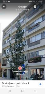 Un árbol de Navidad delante de un edificio en Gezellig appartement Beveren-Waas Donkvijver, en Beveren