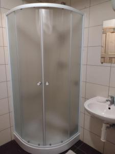 una ducha con una puerta de cristal junto a un lavabo en Chata Dvírka en Železný Brod