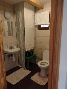 uma casa de banho com um WC e um lavatório em Chata Dvírka em Železný Brod