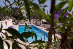 a swimming pool behind some plants at D View 4 You in Mellieħa