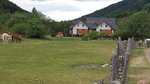 Príroda v okolí apartmánu