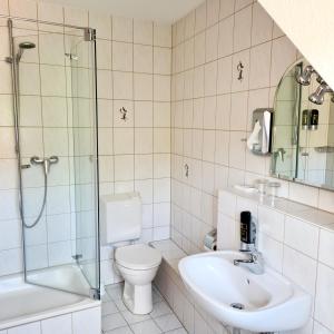 La salle de bains est pourvue de toilettes, d'un lavabo et d'une douche. dans l'établissement Gasthaus Schöllmann, à Feuchtwangen