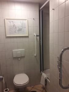 a bathroom with a toilet and a picture on the wall at Möwe in Steffenshagen