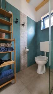 a bathroom with a toilet and a green wall at Apartment Ariela in Izola