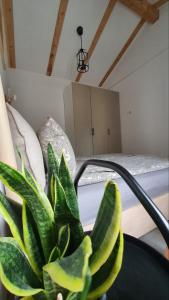 Gallery image of Apartment Ariela in Izola +12 photos