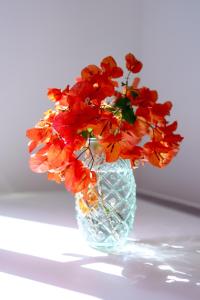Un jarrón de cristal con flores rojas. en Casa Giovanni da Procida, en Procida