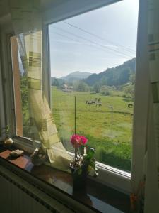 Priroda u blizini apartmana