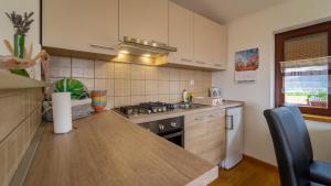 Kuchyňa alebo kuchynka v ubytovaní Apartman Suhi vrh