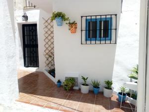 a courtyard with potted plants in front of a house at El Escondite de Vejer in Vejer de la Frontera