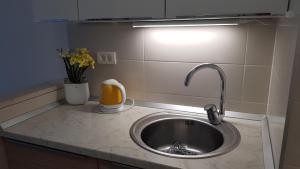 斯普利特Apartment Verdi Split with free private parking space的厨房柜台设有水槽和花瓶