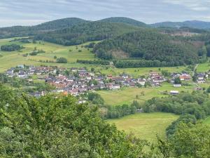 Historisches Ferienhaus "Schwalbennest" mit Eseln iz ptičje perspektive