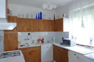 Kuchyňa alebo kuchynka v ubytovaní Labdarozsa Apartmanhouse