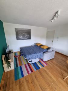 a bedroom with a bed and a colorful rug at Le M&M in Montigny-en-Gohelle