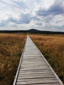 Příroda nedaleko apartmánu