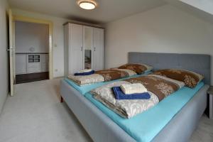 Postel nebo postele na pokoji v ubytování Blatenský House 393 - Apartmá 3