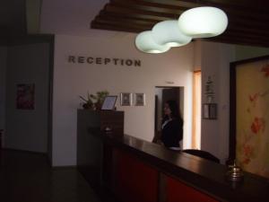 Vstupní hala nebo recepce v ubytování Hotel Sydney