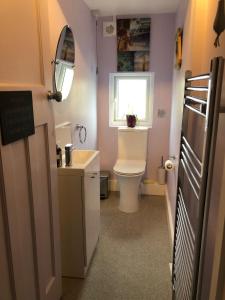 a small bathroom with a toilet and a sink at High Ways House in Woolacombe