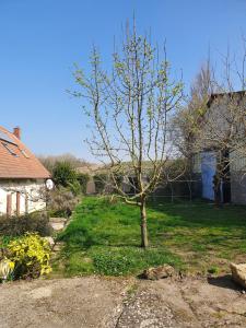 a tree in a yard next to a house at Gite des 3 Cailloux in Leulinghen-Bernes
