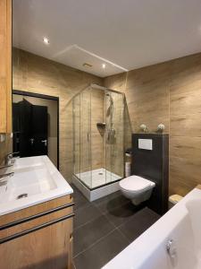 een badkamer met een wastafel, een toilet en een douche bij Sonnevanck Ameland in Ballum