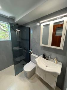波羅斯的住宿－Aegean Summer House，浴室配有白色水槽和卫生间。