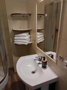 Kúpeľňa v ubytovaní Apartament przy Fontannie Neptuna
