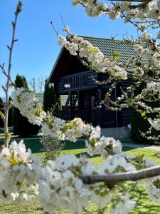 Ein Haus mit einem Haufen weißer Blumen davor. in der Unterkunft Wooden House in Podgorica