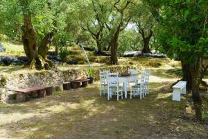 Vonkajšia záhrada v ubytovaní Eleonas-Olive grove traditional holiday appartment