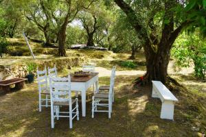 Vonkajšia záhrada v ubytovaní Eleonas-Olive grove traditional holiday appartment