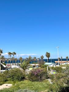 a view of a park with palm trees and the ocean at Le sud plage et piscine in Gassin
