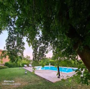 uma piscina num parque com uma árvore em Marinella B&B em Cornale