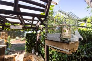 un uccello in una gabbia per uccelli appeso a un edificio di Villa Mamma Grazia Rooms a San Vito dei Normanni