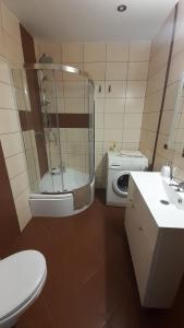 a bathroom with a shower and a toilet and a sink at Ustka Na Wydmie in Ustka