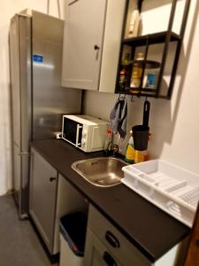 a small kitchen with a sink and a microwave at Albergue Albor in Caldas de Reis