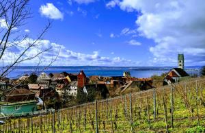 een uitzicht op een stad vanaf een heuvel met een hek bij Seebrise mit Musik und Wein in Meersburg