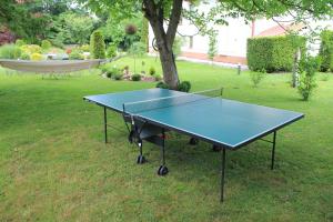 a blue ping pong table in a yard at Kazkova khatynka in Bushtyno
