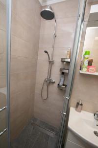 een badkamer met een douche en een wastafel bij APARTMAN DANICA in Subotica
