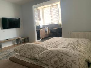 ein Schlafzimmer mit einem Bett und einem Flachbildfernseher in der Unterkunft Квартира в новобудові в районі автовокзал , поруч ТРЦ Арена in Riwne