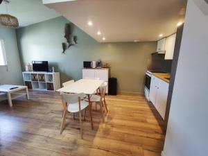 Kuchyň nebo kuchyňský kout v ubytování LENIE appartement reposant