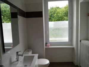 ein Bad mit einem Waschbecken, einem WC und einem Fenster in der Unterkunft gite du ruisseau in Murat-sur-Vèbre