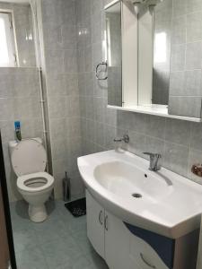 Un baño con un lavabo blanco y un inodoro. en Stepanavan Villa, en Estepanavan 17 fotos más