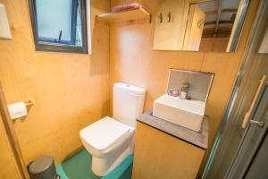 ein kleines Badezimmer mit Toilette und Waschbecken in der Unterkunft Empress En Suite Wagon in Arthog + 13 Fotos