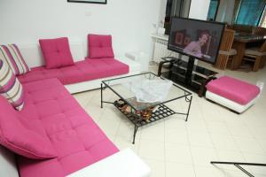 un soggiorno con divani rosa e TV di Villa Curubis Korba a Korba