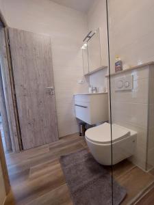 La salle de bains est pourvue de toilettes, d'un lavabo et d'une douche. dans l'établissement Apartmani Antonia, à Račišće