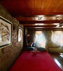 sala de estar con alfombra roja y pared en Vincenza Apartment, en Kotor