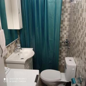 uma casa de banho com um WC, um lavatório e um chuveiro em dvokrevetni apartman em Pluzine