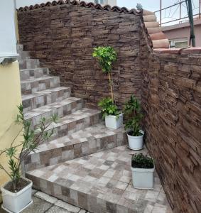a brick wall with a staircase with potted plants at Kyshta za Gosti Dari Rumi 1 in Sozopol