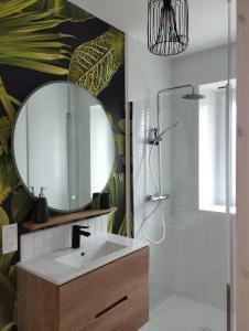 a bathroom with a sink and a mirror at Maison de Kerangall in Brest