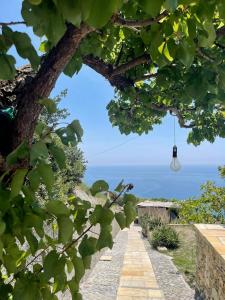 un camino a través de los árboles con vistas al océano en B&Bilfortesulmare, en Ventimiglia